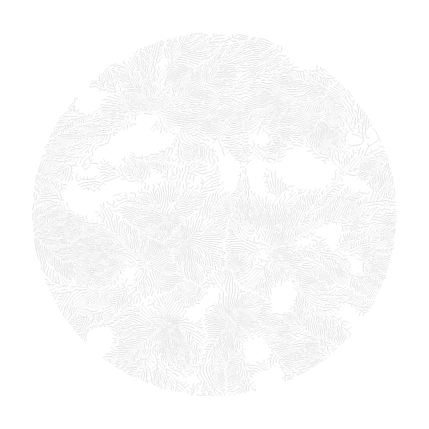 GeoAssurance